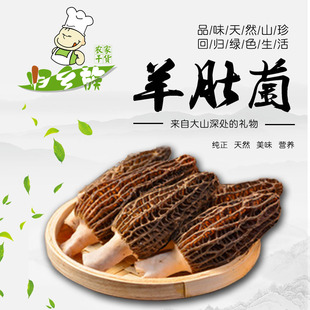 8羊肚菌 歸鄉族羊肚菌干貨云南特產菌菇煲湯食材食用菌5