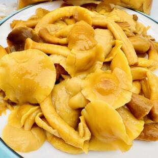 东北新鲜滑子菇煲汤火锅凉拌小蘑菇食用500g*3袋包邮可口美味