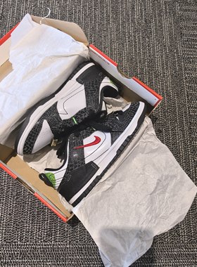 Nike Dunk Disrupt 2 Disrupt 2 蛇纹 低帮 板鞋 女款 黑白绿