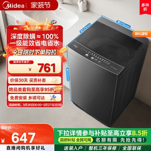 8kg波轮除螨抗菌桶家用租房全自动洗衣机洗脱一体 美 政府补贴