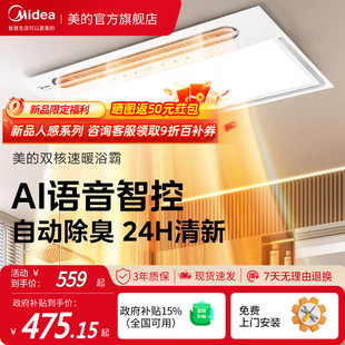 风暖浴霸照明排气扇一体灯卫生间取暖器集成吊顶Y5B 补贴15%美