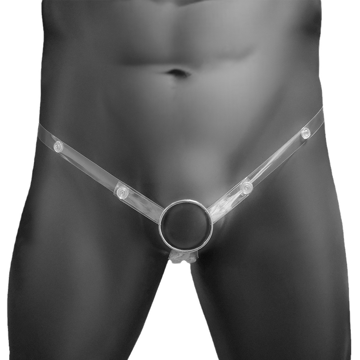 固定带透明辅助带鸟笼防水防脱落