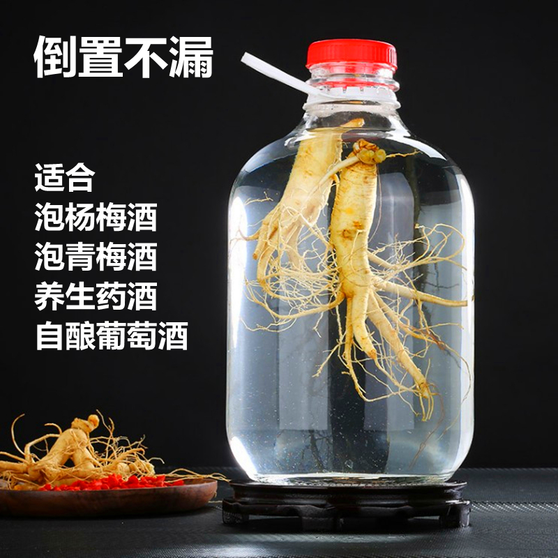 手提5L玻璃空瓶泡杨梅酒青梅酒