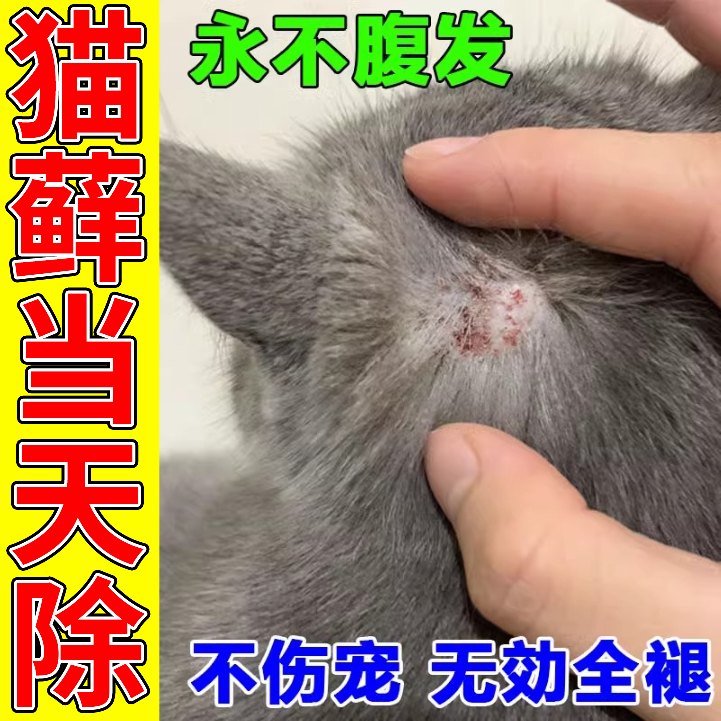 猫藓皮肤专用特效药治疗幼猫脸头上掉毛秃毛脓皮真菌感染外用喷剂