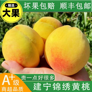 建宁双溪锦绣黄桃新鲜应季水果10斤装整箱大果现摘硬脆桃顺丰包邮