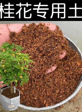 桂花专用土营养土桂花土有机酸性土壤家用盆栽植物种植土红土花肥