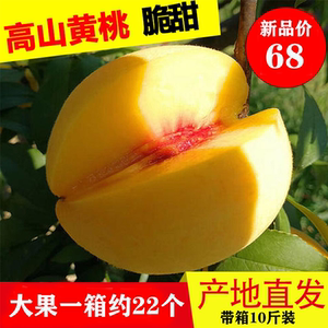 现摘农家怀化黔阳安江高山黄桃