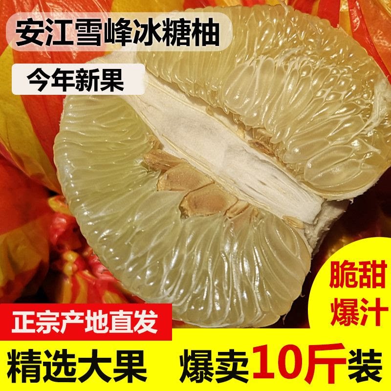湖南怀化雪峰柚安江冰糖柚子小柚子新鲜水果白心苦柚老树药柚土柚
