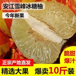 湖南怀化雪峰柚安江冰糖柚子小柚子新鲜水果白心苦柚老树药柚土柚