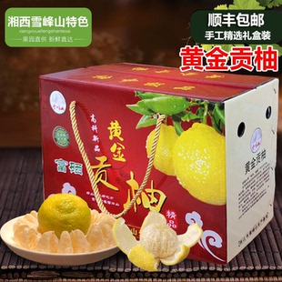 湖南黄金贡柚怀化洪江岩垅春香桔柚象山青礼品盒装10斤纯甜顺丰