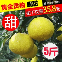黄金贡柚怀化象山青春香桔柚安江小柚子非冰糖柚雪峰柚蜜柚5/10斤