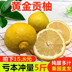 纯甜柚子价格 纯甜柚子图片 星期三