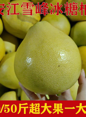 湖南怀化安江雪峰冰糖柚子老树小苦柚新鲜药柚白心土柚特大果