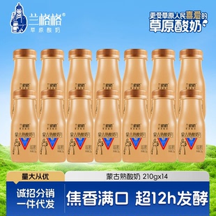 顺丰快递兰格格蒙古熟酸奶雪原内蒙古炭烧熟酸奶210g 14瓶