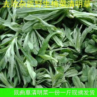 鼠曲草清明草水萩菠菠佛耳软雀草棉菜青团鼠鞠草田艾软水牛花