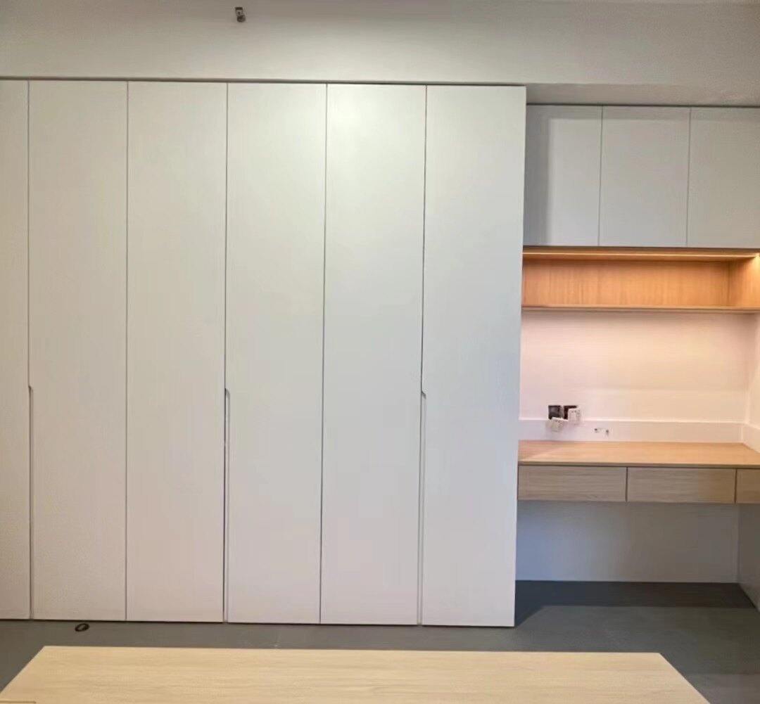 广州全屋定制进口爱格板轻奢榻榻定制平开门衣柜