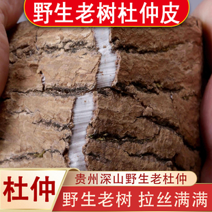 贵州野生老树杜仲皮去粗皮补肝肾强筋骨煲汤泡茶泡酒中药材正品