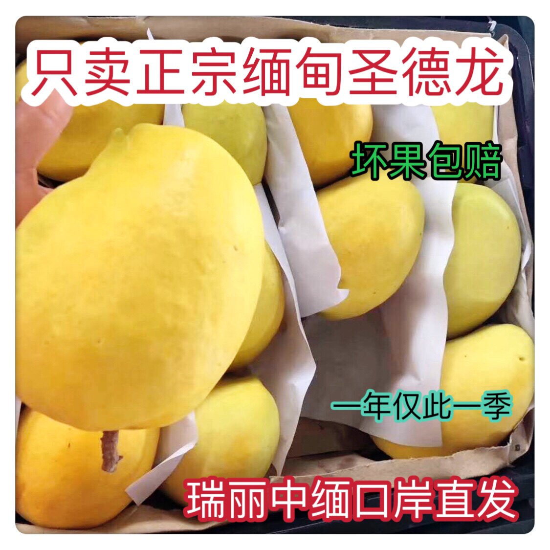缅甸圣德龙芒果10斤包邮套袋果超甜无丝大果云南瑞丽中缅口岸直发