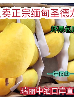 缅甸圣德龙芒果10斤包邮套袋果超甜无丝大果云南瑞丽中缅口岸直发