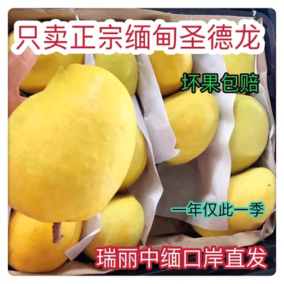 芒果缅甸包邮云南圣德龙新鲜整箱