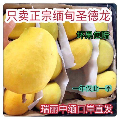 芒果缅甸包邮云南圣德龙新鲜整箱
