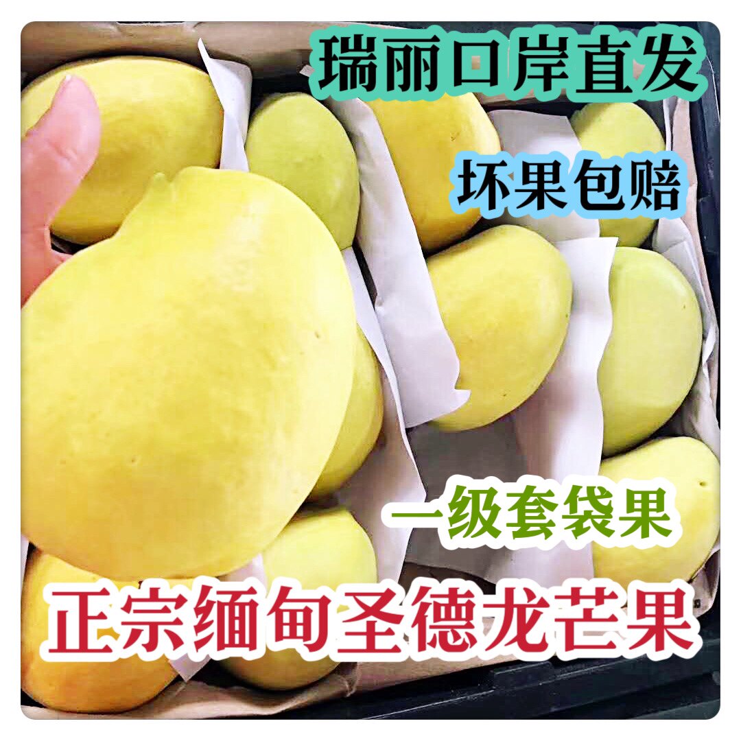 缅甸圣德龙芒果大件云南省内包邮原包装瑞丽新鲜直达超甜一级套袋