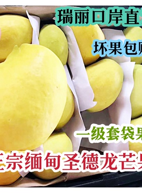 缅甸圣德龙芒果大件云南省内包邮原包装瑞丽新鲜直达超甜一级套袋