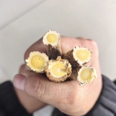 山西浑源正北芪黄芪年份足