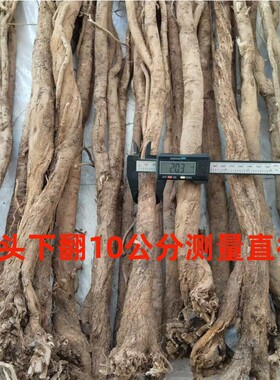 野生官儿黄芪正北芪整根20年以上礼品天然山西浑源正宗中药材正品