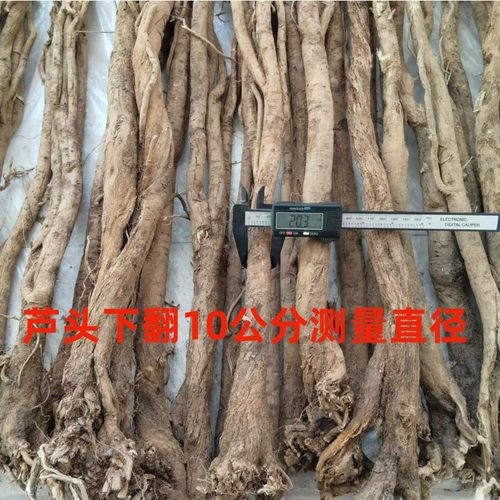 道地黄芪山西浑源整根