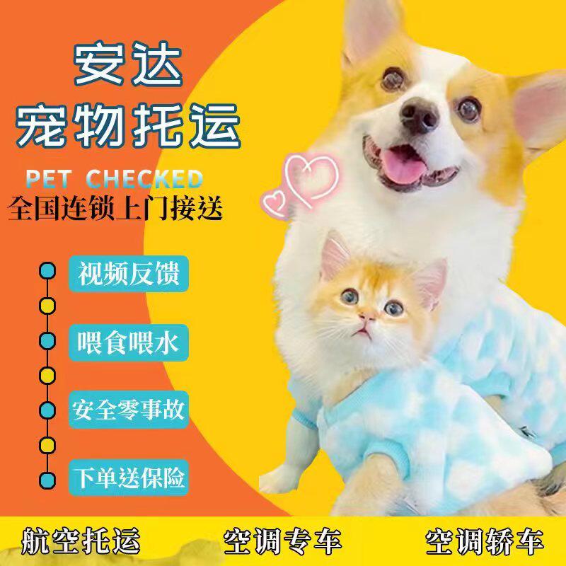 宠物托运猫咪狗狗等全国空运陆运专车顺风车火车运输上门接送服务