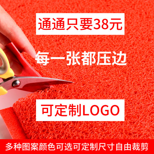 舱盛防滑防水丝圈地毯进门门口