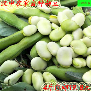 汉中新鲜蚕豆鲜蚕豆农家自种蚕豆青豆胡豆茴香豆4斤装包邮