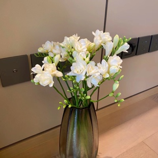 【顺丰冷链】精品A级香雪兰鲜花云南昆明基地直发