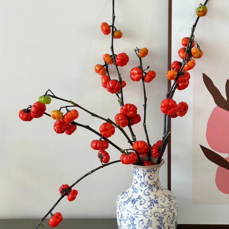 【顺丰冷链】小南瓜小番茄鲜花酸浆果小辣椒应季花材昆明基地直发,鲜花速递/花卉仿真/绿植园艺,花材,淘宝优惠券,粉丝福利购,淘宝优惠卷