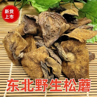松蘑东北特产野生松蘑菇粘团子黄牛肝菌500克包邮粘蛾子野生蘑菇