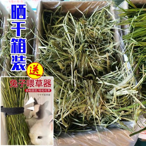捆绑头茬晒干草送喂兔神器