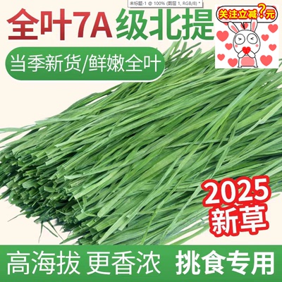 岷县头茬5A烘干提摩西7A兔兔干草