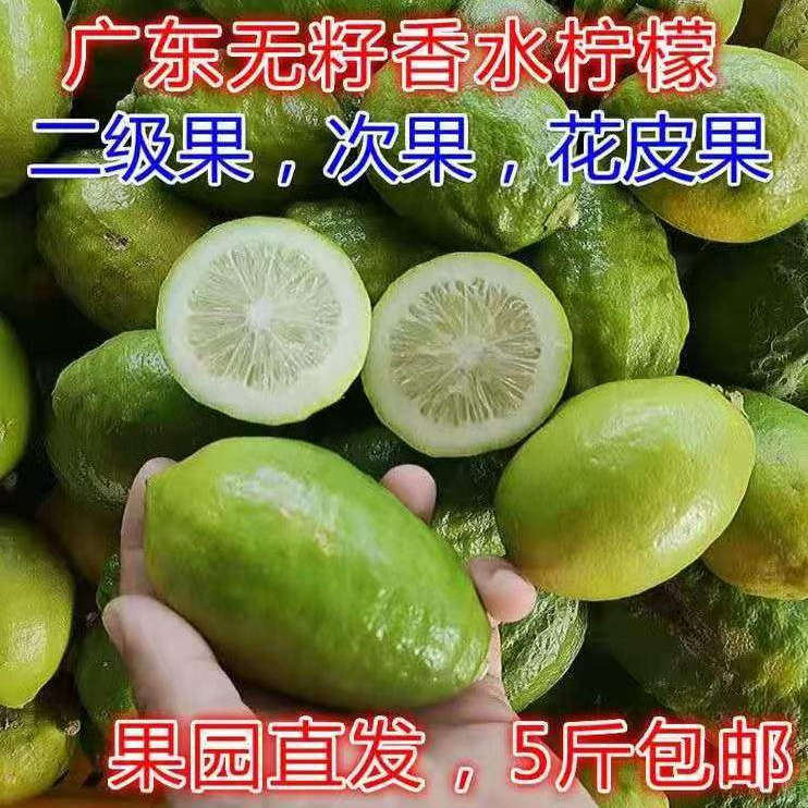 正宗广东香水柠檬新鲜无籽二级果现摘次果手打柠檬茶专用青柠水果