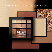 彩妆 自然 欧美妆专用眼影盘16色大地色哑光细闪孕 Bingo 正品