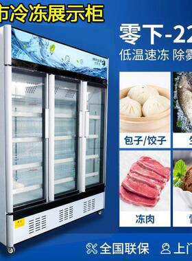 立式冷冻牛肉牛排冰柜羊肉卷预制菜冷柜速冻榴莲风冷冻展示柜肉类