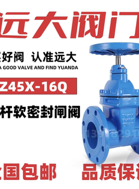 远大阀门法兰闸阀Z45X-16Q软密封铸铁硬明暗杆弹性座封球墨 DN100