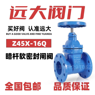 远大阀门软密封法兰闸阀Z45X-16Q铸铁硬明暗杆弹性座封球墨 DN100