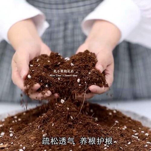 优质营养土绿植盆栽专用松软好用