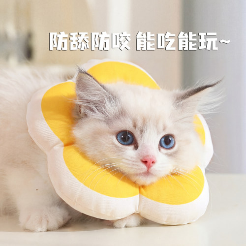 宠物伊丽莎白圈猫咪项圈防舔