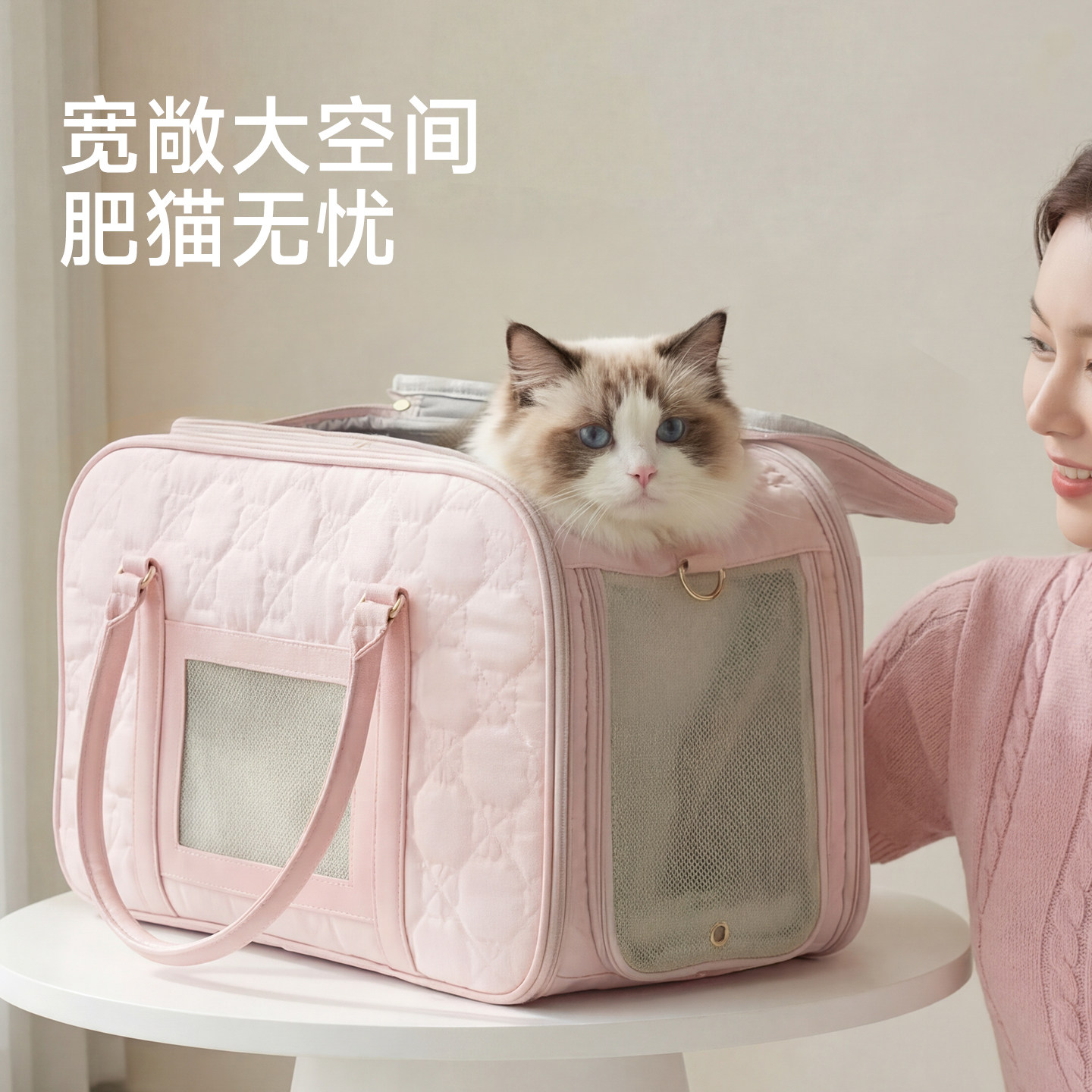 猫包外出便携猫咪背包大容量透气高颜值狗狗外带包手提单肩宠物包