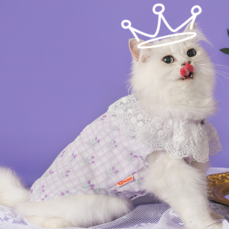 蕾丝花朵裙宠物猫咪衣服