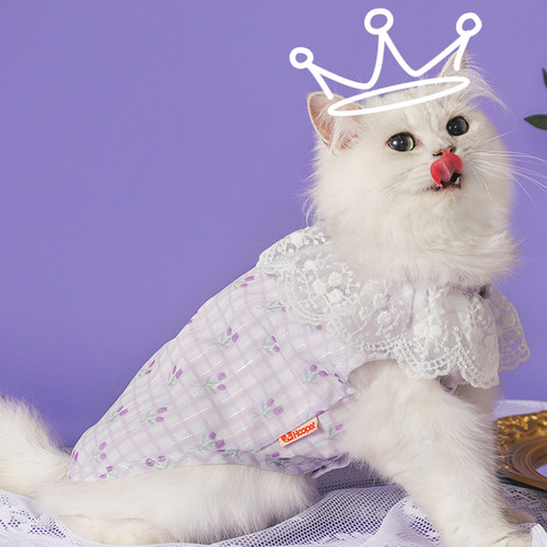 蕾丝花朵裙宠物猫咪衣服