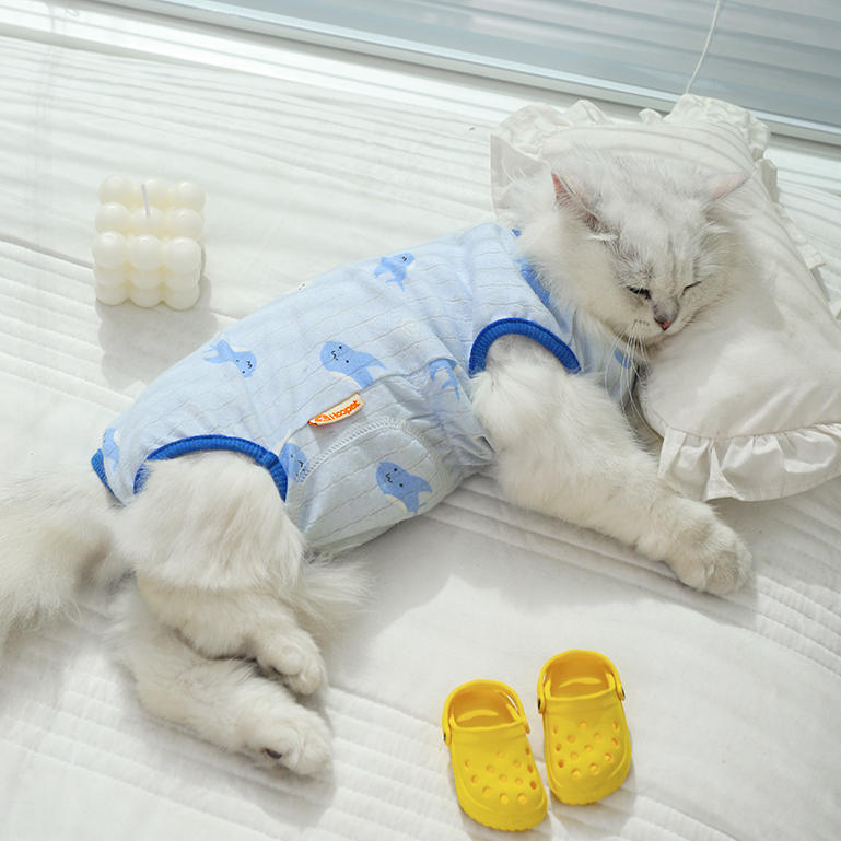 猫咪纯棉透气护肚衣，可当绝育服