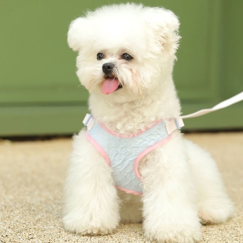 hoopet奶油泡泡宠物胸背带